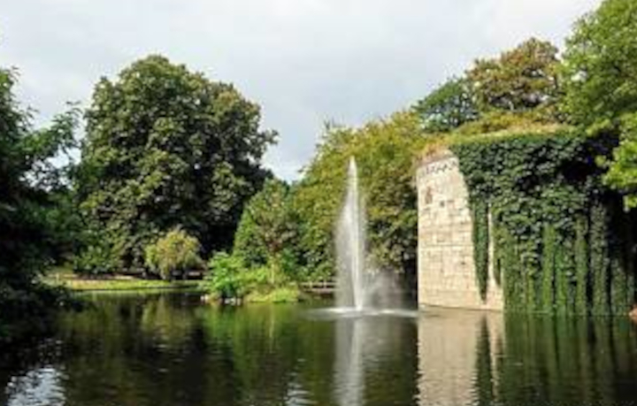 245 Stadspark